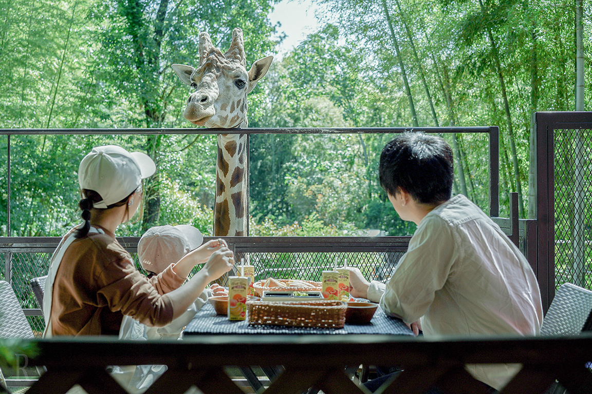 キリンと朝食オプション